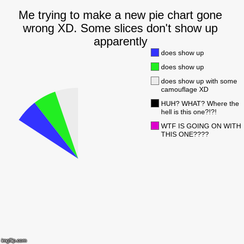 Found a weird glitch. I was trying to make another hot pie chart but Instead I got a (pretty cool) glitch
 | Me trying to make a new pie chart gone wrong XD. Some slices don't show up apparently | WTF IS GOING ON WITH THIS ONE????, HUH? WHAT? Where  | image tagged in funny,pie charts,glitch,lol,wtf,what | made w/ Imgflip chart maker
