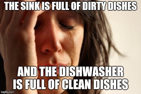 First World Problems Meme | THE SINK IS FULL OF DIRTY DISHES; AND THE DISHWASHER IS FULL OF CLEAN DISHES | image tagged in memes,first world problems | made w/ Imgflip meme maker