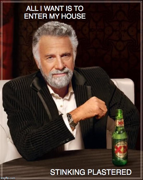 The Most Interesting Man In The World Meme | ALL I WANT IS TO       ENTER MY HOUSE; STINKING PLASTERED | image tagged in memes,the most interesting man in the world | made w/ Imgflip meme maker