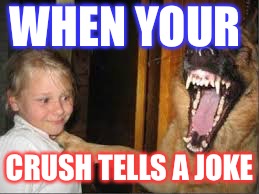 True story | WHEN YOUR; CRUSH TELLS A JOKE | image tagged in lol | made w/ Imgflip meme maker