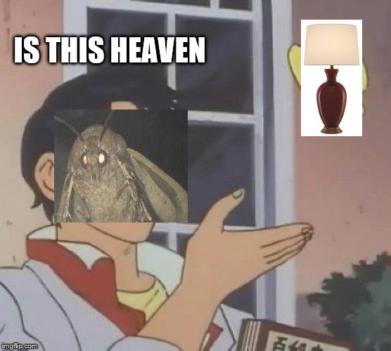Is This A Pigeon | IS THIS HEAVEN | image tagged in memes,is this a pigeon | made w/ Imgflip meme maker