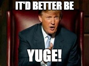 Donald Trump | IT'D BETTER BE YUGE! | image tagged in donald trump | made w/ Imgflip meme maker