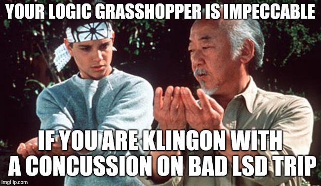 YOUR LOGIC GRASSHOPPER IS IMPECCABLE; IF YOU ARE KLINGON WITH A CONCUSSION ON BAD LSD TRIP | made w/ Imgflip meme maker