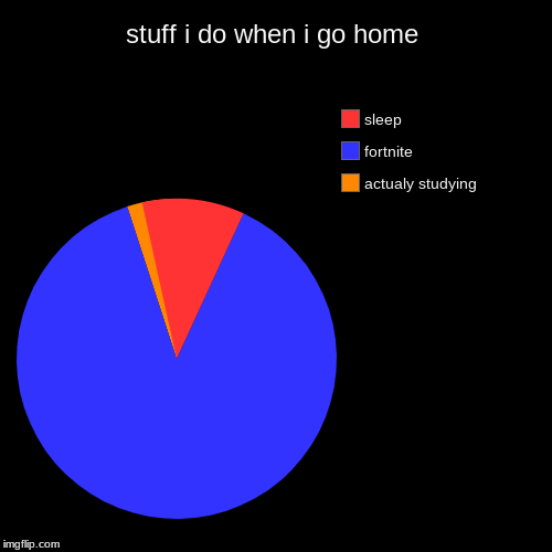 stuff i do when i go home | actualy studying, fortnite, sleep | image tagged in funny,pie charts | made w/ Imgflip chart maker