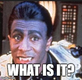 Cat Red Dwarf | WHAT IS IT? | image tagged in cat red dwarf | made w/ Imgflip meme maker