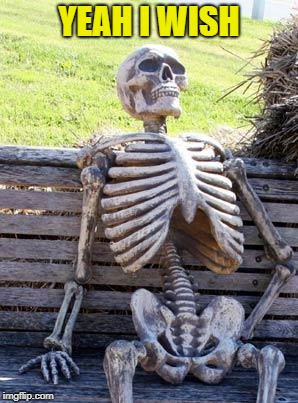Waiting Skeleton Meme | YEAH I WISH | image tagged in memes,waiting skeleton | made w/ Imgflip meme maker