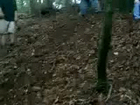 image tagged in gifs,fails,funny | made w/ Imgflip gif maker