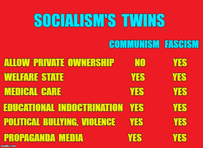 Socialist twins communism and fascism differ only in how they control means of production | SOCIALISM'S  TWINS; COMMUNISM   FASCISM; ALLOW  PRIVATE  OWNERSHIP            NO                YES; WELFARE  STATE                                       YES                YES; MEDICAL  CARE                                        YES               
 YES; EDUCATIONAL  INDOCTRINATION    YES                 YES; POLITICAL  BULLYING,  VIOLENCE         YES                   YES; PROPAGANDA  MEDIA                          YES                  YES | image tagged in socialism,communism,democratic socialism,democrat,fascism | made w/ Imgflip meme maker
