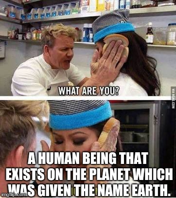 what am I? | A HUMAN BEING THAT EXISTS ON THE PLANET WHICH WAS GIVEN THE NAME EARTH. | image tagged in idiot sandwich | made w/ Imgflip meme maker