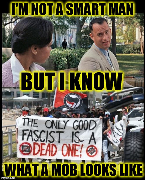 I'M NOT A SMART MAN; BUT I KNOW; WHAT A MOB LOOKS LIKE | image tagged in i am not a smart forrest,antifa,fascism,angry mob | made w/ Imgflip meme maker