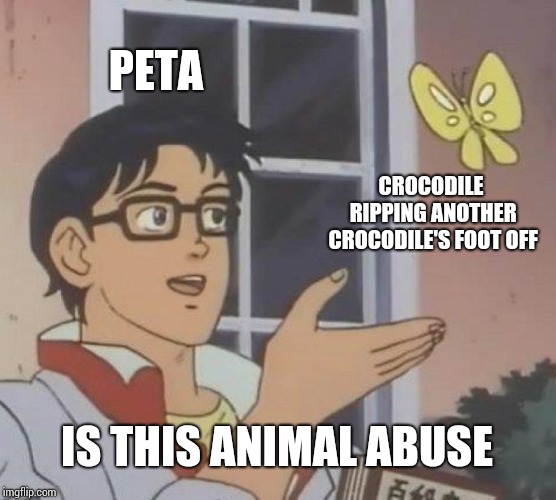 Is This A Pigeon Meme | PETA; CROCODILE RIPPING ANOTHER CROCODILE'S FOOT OFF; IS THIS ANIMAL ABUSE | image tagged in memes,is this a pigeon | made w/ Imgflip meme maker