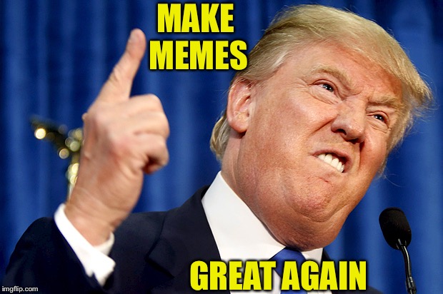 Donald Trump | MAKE MEMES GREAT AGAIN | image tagged in donald trump | made w/ Imgflip meme maker