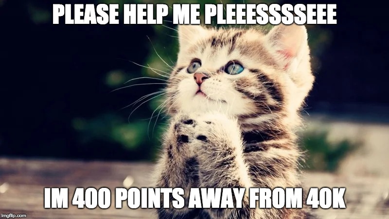 HELP MEE PLEEESSSEEE | PLEASE HELP ME PLEEESSSSEEE; IM 400 POINTS AWAY FROM 40K | image tagged in praying cat,40k,upvote | made w/ Imgflip meme maker