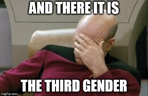 Captain Picard Facepalm Meme | AND THERE IT IS; THE THIRD GENDER | image tagged in memes,captain picard facepalm | made w/ Imgflip meme maker