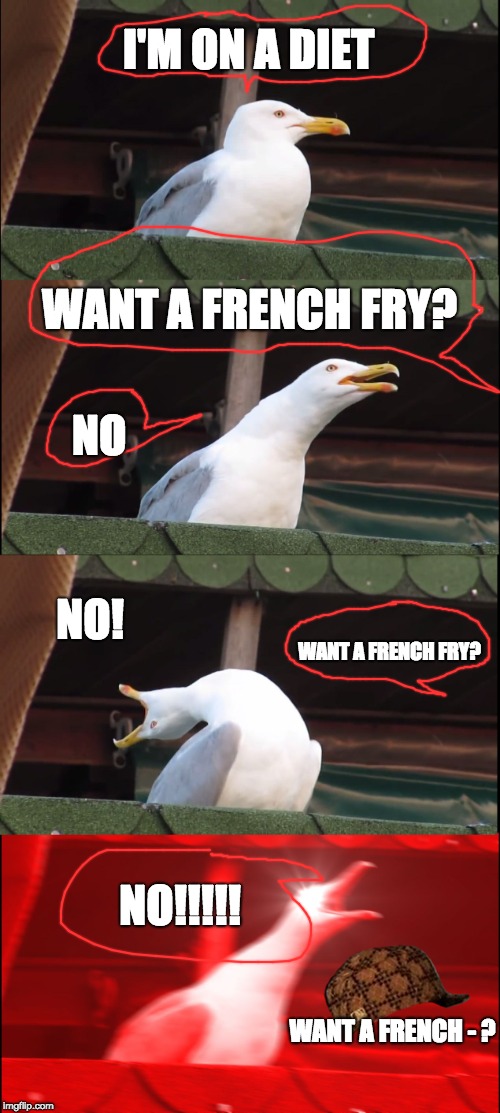NOOOOOOO | I'M ON A DIET; WANT A FRENCH FRY? NO; NO! WANT A FRENCH FRY? NO!!!!! WANT A FRENCH - ? | image tagged in memes,inhaling seagull,scumbag | made w/ Imgflip meme maker