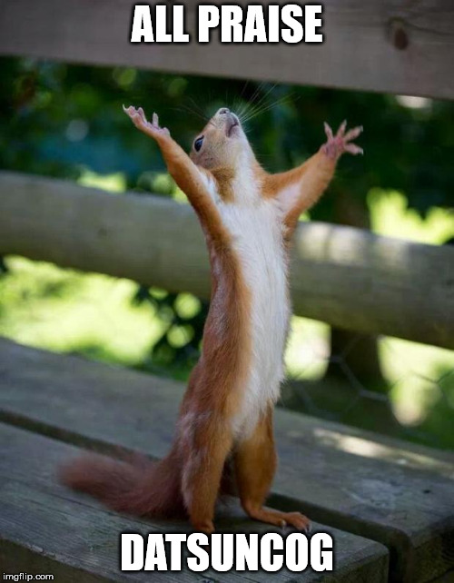 Happy Squirrel | ALL PRAISE; DATSUNCOG | image tagged in happy squirrel | made w/ Imgflip meme maker