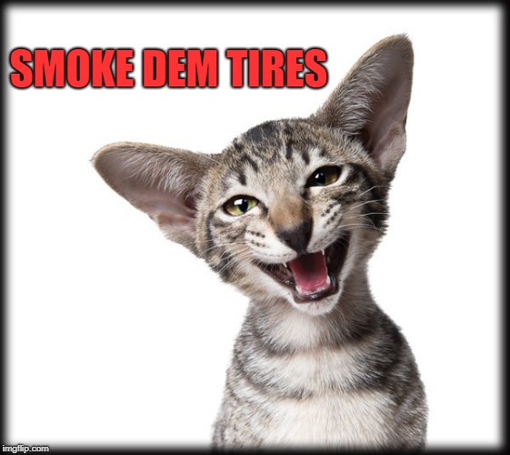 kitten | SMOKE DEM TIRES | image tagged in kitten | made w/ Imgflip meme maker