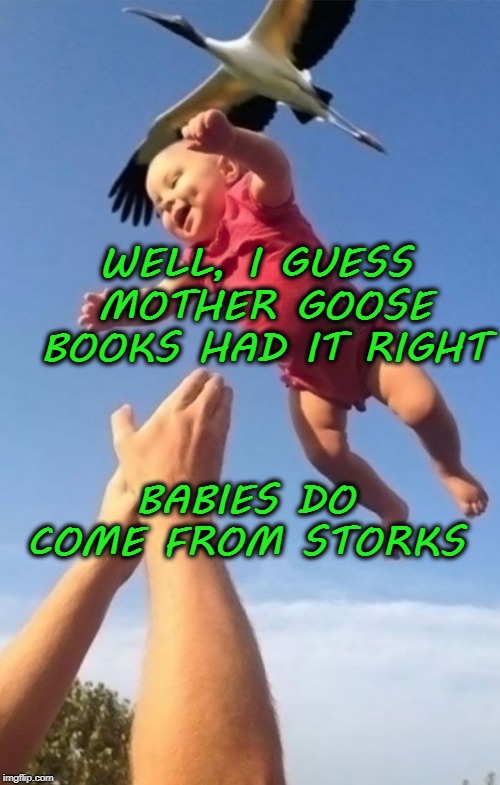 WELL, I GUESS MOTHER GOOSE BOOKS HAD IT RIGHT; BABIES DO COME FROM STORKS | image tagged in stork,babies,funny | made w/ Imgflip meme maker