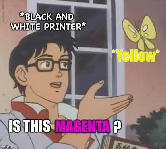Is This A Pigeon Meme | *BLACK AND WHITE PRINTER*; *Yellow*; MAGENTA; ? IS THIS | image tagged in memes,is this a pigeon | made w/ Imgflip meme maker