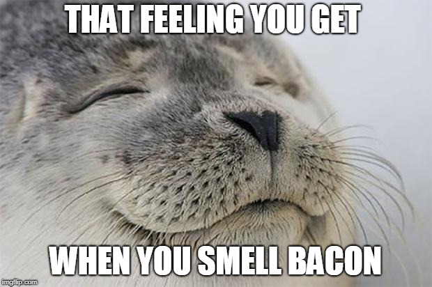 Satisfied Seal Meme | THAT FEELING YOU GET; WHEN YOU SMELL BACON | image tagged in memes,satisfied seal | made w/ Imgflip meme maker