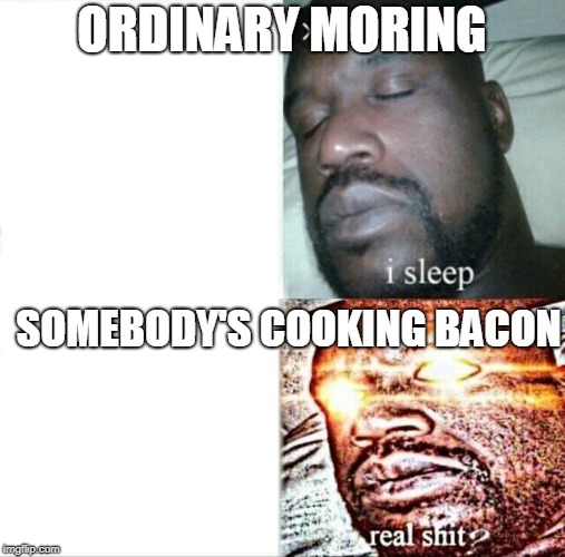 Sleeping Shaq Meme | ORDINARY MORING SOMEBODY'S COOKING BACON | image tagged in memes,sleeping shaq | made w/ Imgflip meme maker