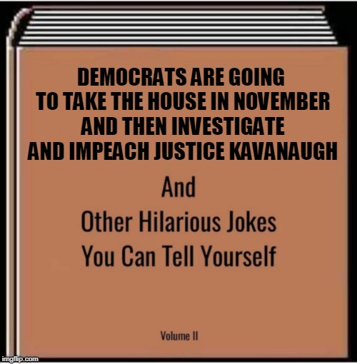 Oh - And They're Also Going to Add Additional Justices to the Supreme Court Too! | DEMOCRATS ARE GOING TO TAKE THE HOUSE IN NOVEMBER AND THEN INVESTIGATE AND IMPEACH JUSTICE KAVANAUGH | image tagged in and other hilarious jokes you can tell yourself,political meme,democrats | made w/ Imgflip meme maker