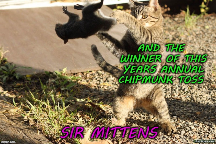 AND THE WINNER OF THIS YEARS ANNUAL CHIPMUNK TOSS; SIR MITTENS | image tagged in cats,chipmunks,funny,meme | made w/ Imgflip meme maker