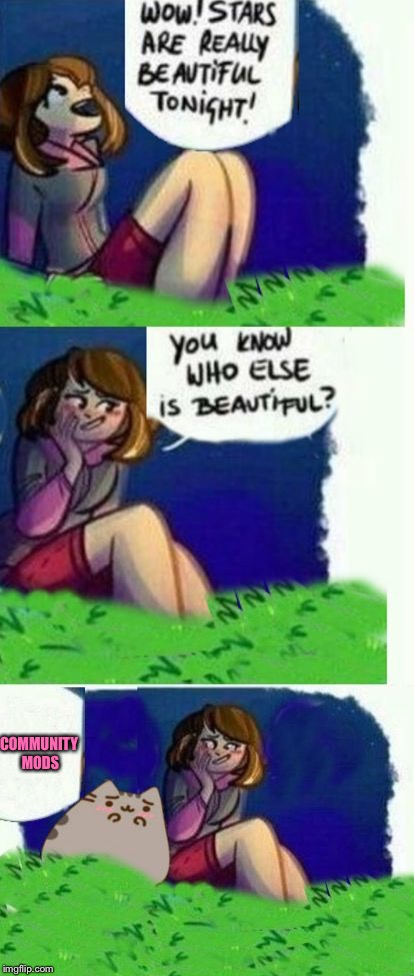 Beautiful Girl | COMMUNITY MODS | image tagged in beautiful girl,memes,imgflip,imgflip mods | made w/ Imgflip meme maker