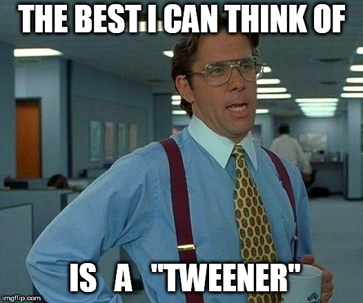 That Would Be Great Meme | THE BEST I CAN THINK OF IS   A   "TWEENER" | image tagged in memes,that would be great | made w/ Imgflip meme maker
