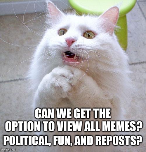 I like them all so... | CAN WE GET THE OPTION TO VIEW ALL MEMES? POLITICAL, FUN, AND REPOSTS? | image tagged in begging cat,imgflip | made w/ Imgflip meme maker
