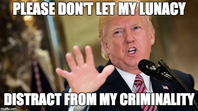 Criminal Lunatic | PLEASE DON'T LET MY LUNACY; DISTRACT FROM MY CRIMINALITY | image tagged in stahp,criminal,trump,con man,unstable genius | made w/ Imgflip meme maker