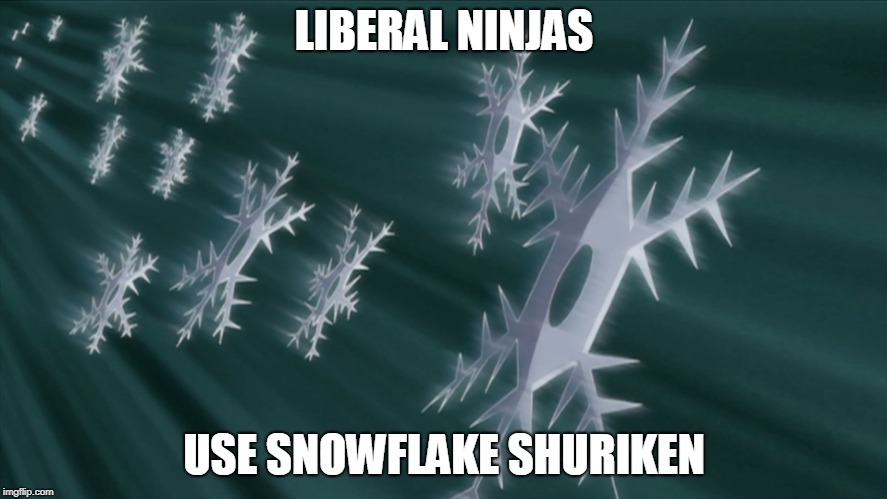 Liberal Ninjas | LIBERAL NINJAS; USE SNOWFLAKE SHURIKEN | image tagged in liberals,ninja | made w/ Imgflip meme maker