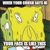Crush says hi | WHEN YOUR CRUSH SAYS HI; YOUR FACE IS LIKE THIS | image tagged in memes | made w/ Imgflip meme maker