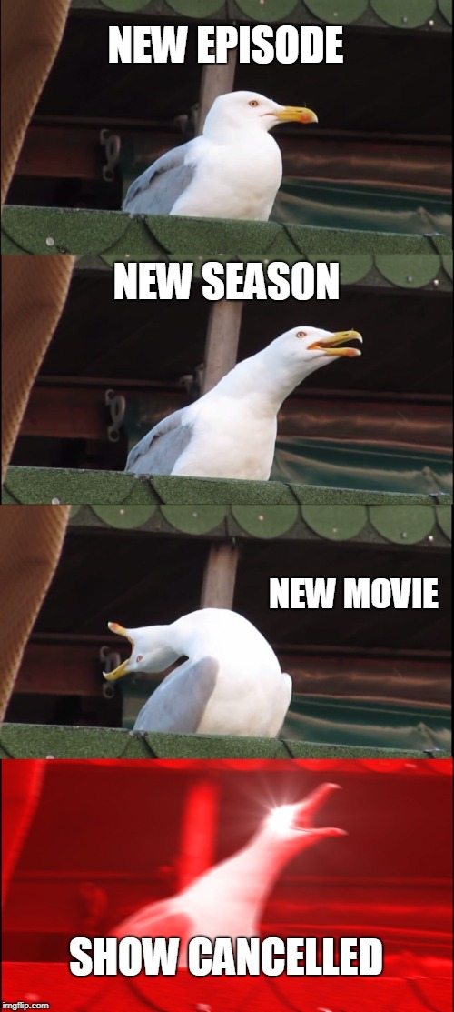 Inhaling Seagull Meme | NEW EPISODE; NEW SEASON; NEW MOVIE; SHOW CANCELLED | image tagged in memes,inhaling seagull | made w/ Imgflip meme maker
