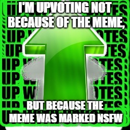 I'M UPVOTING NOT BECAUSE OF THE MEME, BUT BECAUSE THE MEME WAS MARKED NSFW | image tagged in upvote | made w/ Imgflip meme maker