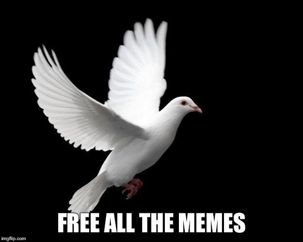 DOVE PIGEON LOVE PEACE HAPPINESS | FREE ALL THE MEMES | image tagged in dove pigeon love peace happiness | made w/ Imgflip meme maker