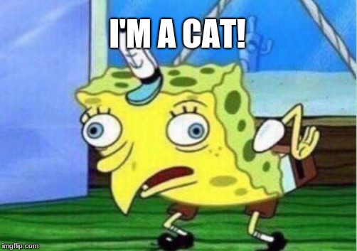 Mocking Spongebob | I'M A CAT! | image tagged in memes,mocking spongebob | made w/ Imgflip meme maker