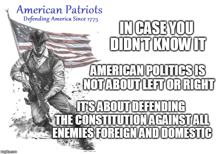 Any military veteran ought'a be able to tell ya that! | IN CASE YOU DIDN'T KNOW IT; AMERICAN POLITICS IS NOT ABOUT LEFT OR RIGHT; IT'S ABOUT DEFENDING THE CONSTITUTION AGAINST ALL ENEMIES FOREIGN AND DOMESTIC | image tagged in marines,politics,american politics | made w/ Imgflip meme maker