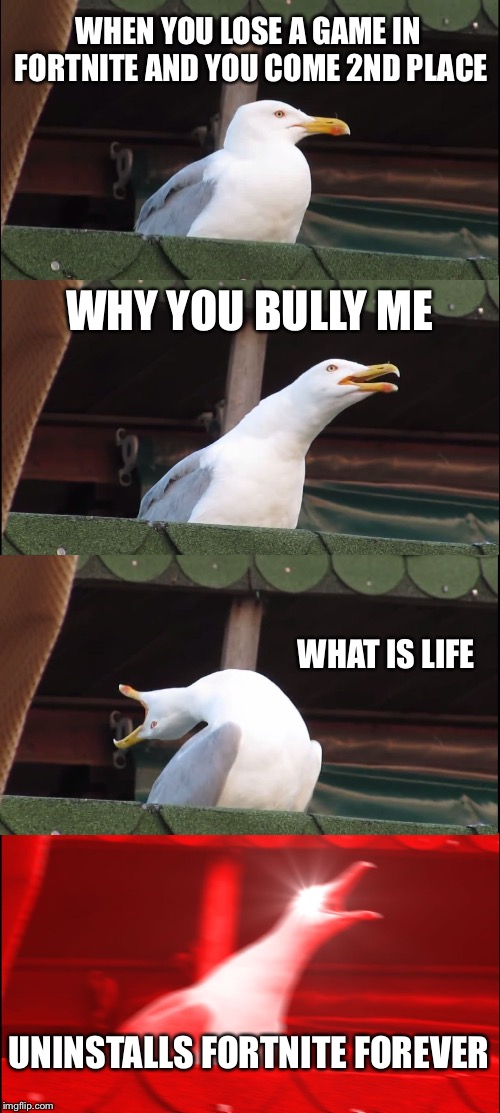 Inhaling Seagull | WHEN YOU LOSE A GAME IN FORTNITE AND YOU COME 2ND PLACE; WHY YOU BULLY ME; WHAT IS LIFE; UNINSTALLS FORTNITE FOREVER | image tagged in memes,inhaling seagull | made w/ Imgflip meme maker