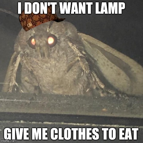 Moth lamp | I DON'T WANT LAMP; GIVE ME CLOTHES TO EAT | image tagged in moth lamp,scumbag | made w/ Imgflip meme maker