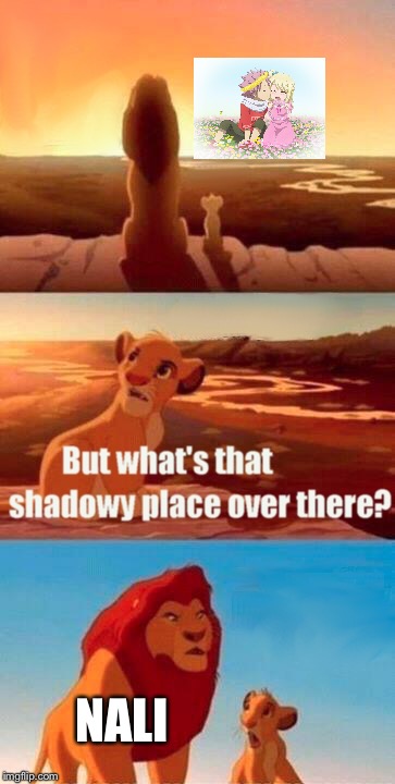 Simba Shadowy Place | NALI | image tagged in memes,simba shadowy place | made w/ Imgflip meme maker