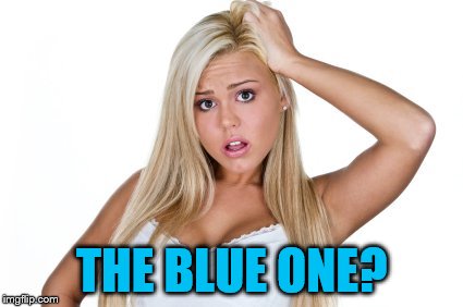 Dumb Blonde | THE BLUE ONE? | image tagged in dumb blonde | made w/ Imgflip meme maker