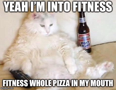 fat cat bud light | YEAH I’M INTO FITNESS; FITNESS WHOLE PIZZA IN MY MOUTH | image tagged in fat cat bud light | made w/ Imgflip meme maker