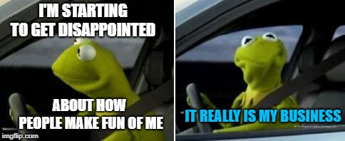 Kermit Driver | I'M STARTING TO GET DISAPPOINTED; ABOUT HOW PEOPLE MAKE FUN OF ME; IT REALLY IS MY BUSINESS | image tagged in kermit driver | made w/ Imgflip meme maker