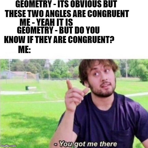 --Ah, You got me there. | GEOMETRY - ITS OBVIOUS BUT THESE TWO ANGLES ARE CONGRUENT; ME - YEAH IT IS; GEOMETRY - BUT DO YOU KNOW IF THEY ARE CONGRUENT? ME: | image tagged in --ah you got me there. | made w/ Imgflip meme maker