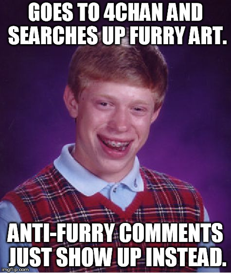 I've tried using 4Chan for the first time. | GOES TO 4CHAN AND SEARCHES UP FURRY ART. ANTI-FURRY COMMENTS JUST SHOW UP INSTEAD. | image tagged in memes,bad luck brian,4chan,furry,art,noob | made w/ Imgflip meme maker