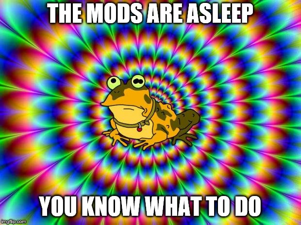 Hypnotoad | THE MODS ARE ASLEEP; YOU KNOW WHAT TO DO | image tagged in hypnotoad | made w/ Imgflip meme maker