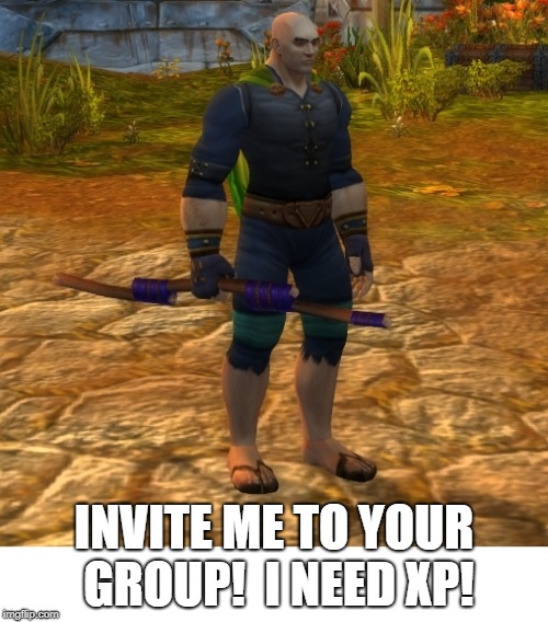 You want to join our dungeon run? | INVITE ME TO YOUR GROUP!  I NEED XP! | image tagged in world of warcraft peasant,experience,gaming,online gaming | made w/ Imgflip meme maker