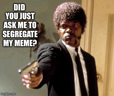 Say That Again I Dare You | DID YOU JUST ASK ME TO SEGREGATE MY MEME? | image tagged in memes,say that again i dare you | made w/ Imgflip meme maker