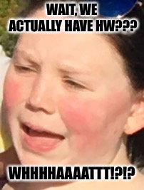 We have hw?! | WAIT, WE ACTUALLY HAVE HW??? WHHHHAAAATTT!?!? | image tagged in what,wait,funny face,suprised,no way,funny memes | made w/ Imgflip meme maker
